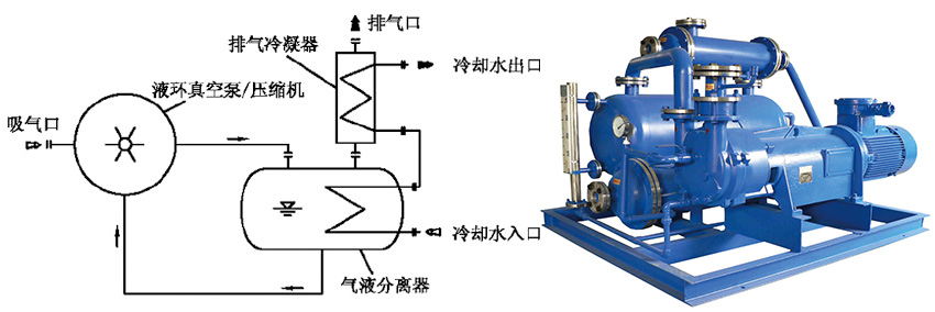 1656565208129569.jpg 1-1912291GR1P7.jpg